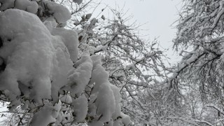 Валежите продължават и в понеделник 