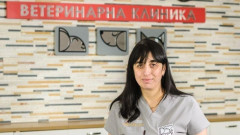 Д-р Ивелина Иринкова: Ежемесечната профилактика e най-доброто решение срещу опасния "сърдечен червей" при кучетата