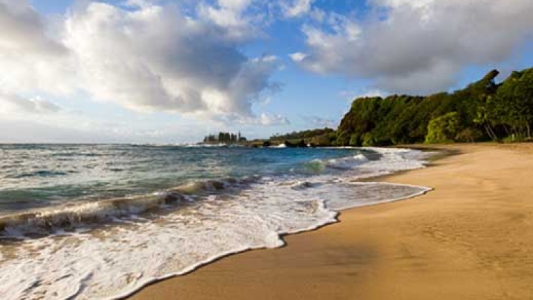 Изображение 79136