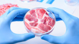  В Испания ще бъде най-голямата в света фабрика за лабораторно отглеждано месо 
