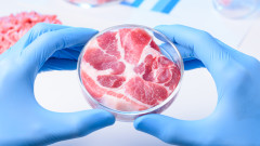 Европейската страна, в която ще бъде най-голямата в света фабрика за лабораторно месо