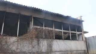 Умишлен пожар изпепели 5 500 бали сено и унищожи земеделска