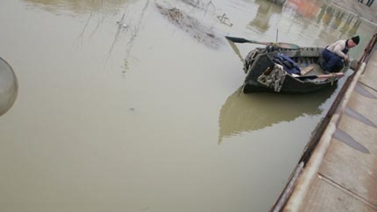 Изображение 99536