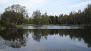 Вилно селище Панагюрски колонии става модерен курорт