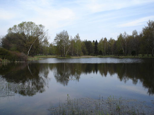 Вилно селище Панагюрски колонии става модерен курорт
