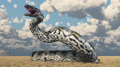 Коя е най-голямата змия, обитавала нашата планета