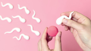 Спермата се състои от много компоненти включително вода липиди въглехидрати