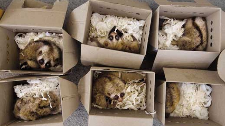 Изображение 91437