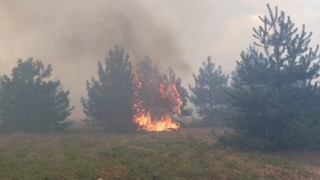 Продължава пожарът край границата ни с Турция