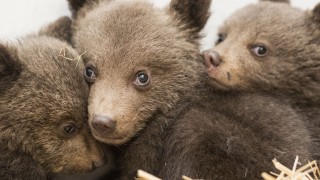 При съвместна акция на Министерство на околната среда и водите