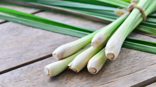 Пролетта е вече тук от повече от месец и определено