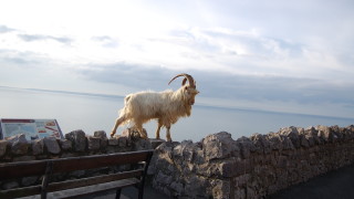 Глобалната пандемия и затваряне в последната една година се отрази