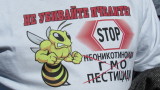 Пчелари готвят блокада на пътя Плевен-София заради натровени пчели