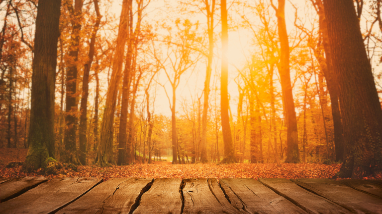 Предимно слънчев и ветровит петък ни очаква