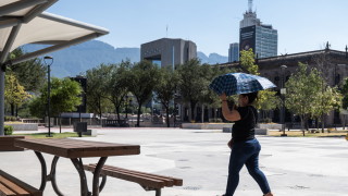 Високите температури погубиха над 100 души в Мексико