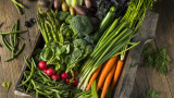 С кой вид рак се борят зеленчуците