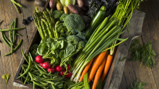 Kaufland ще изкупи български плодове и зеленчуци за над 38 млн. лв. през 2023 г.