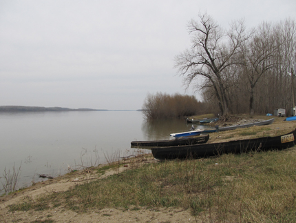Нефтено петно плува в Дунав край Видин