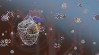 Новите потвърдени случаи на коронавирус са 420 сочат данните на