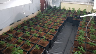 При спецакция на ГДБОП е разбита организирана престъпна група занимавала