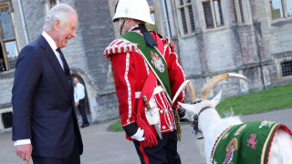 Крал Чарлз е известен с любовта си към природата и