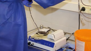 В навечерието на Възкресение Христово от екипа на Националния център