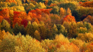 Остава топло за сезона, без валежи