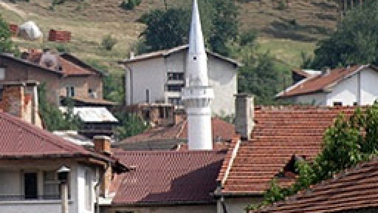 Изображение 87137