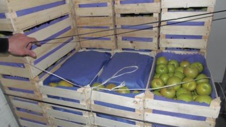 Изображение 287237