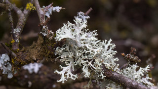 През лятото може и трудно да го забележим но през