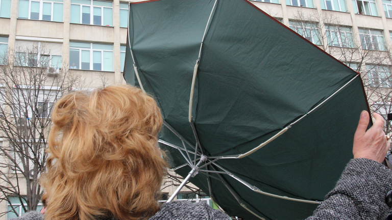 Силният вятър в София счупи клони и стъкло на автомобил