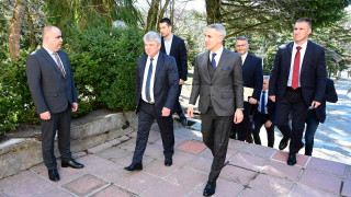 Гюров сравни гората с демокрацията: Най-важните неща растат бавно