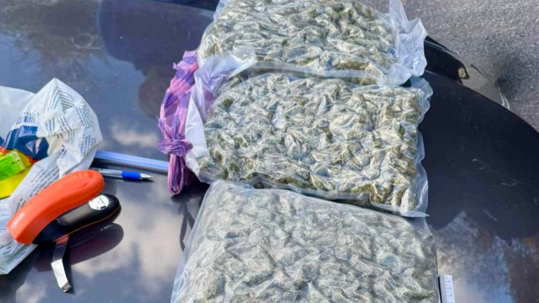 Изображение 738737