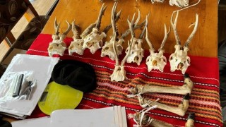 Трима мъже са задържани при полицейска спецоперация срещу бракониерската дейност