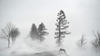 С изключително ниски температури нехарактерни за конкретния период с обилни