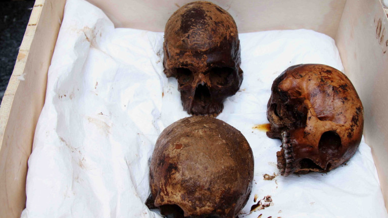 Изображение 369337