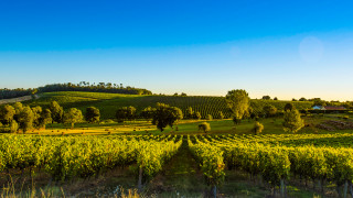 Moнтaнa e cpeд вoдeщитe в България области пo издaдeни eднoднeвни
