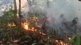  Чили оказва помощ на Бразилия за пожарите 