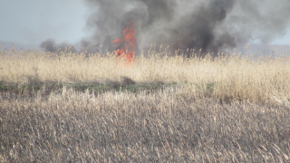 Пламнаха сухи треви до рибарници край Пазарджик