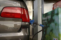 Русия иска да превземе и европазара на биогориво