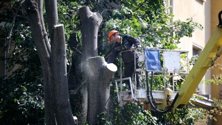 Столичният кмет Васил Терзиев еднолично с нарочна заповед е подписал