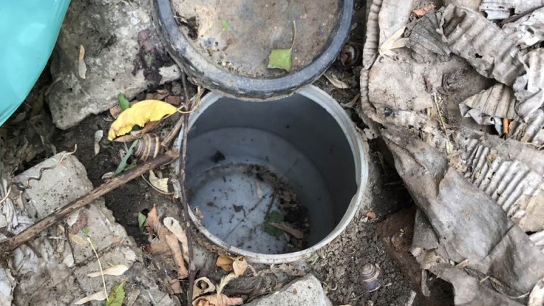 Изображение 322238