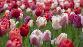 Над Северна България ще е предимно ясно над Южна облачността