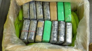 Полицията на Албания съобщи че е иззела 613 килограма кокаин