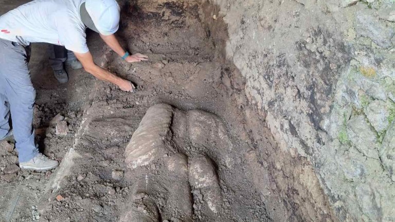 Изображение 683338