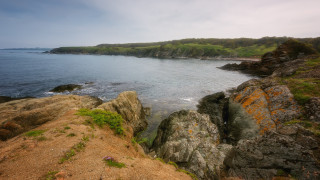 Днес 20 юли към 5 30 ч сутринта полицията в Бургас