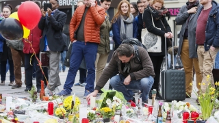 340 са ранените при атентатите в Брюксел
