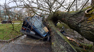 Силни ветрове градушка и внезапни наводнения причиниха хаос в Сърбия
