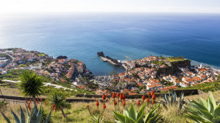 Остров Мадейра - ново работно място за всеки
