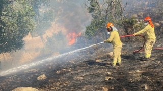 На 26 юли следобеда избухна мащабен пожар в близост до